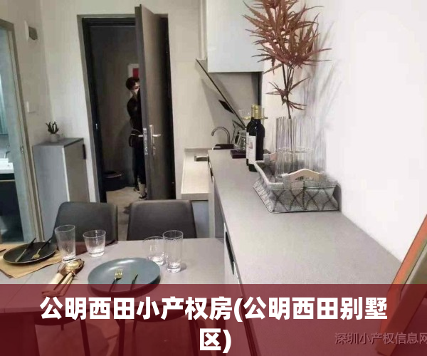 公明西田小产权房(公明西田别墅区)