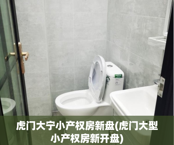 虎门大宁小产权房新盘(虎门大型小产权房新开盘)