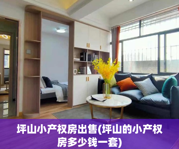坪山小产权房出售(坪山的小产权房多少钱一套)