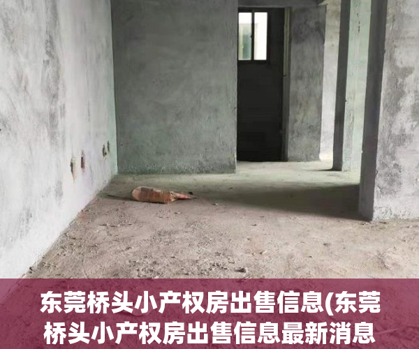 东莞桥头小产权房出售信息(东莞桥头小产权房出售信息最新消息)