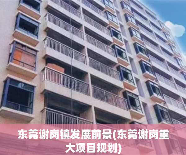 东莞谢岗镇发展前景(东莞谢岗重大项目规划)