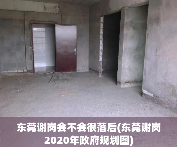 东莞谢岗会不会很落后(东莞谢岗2020年政府规划图)