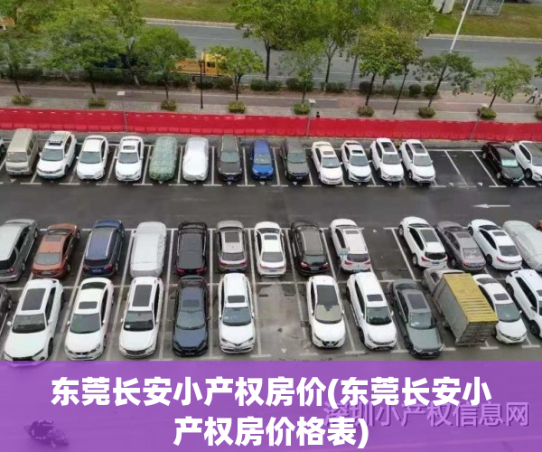 东莞长安小产权房价(东莞长安小产权房价格表)