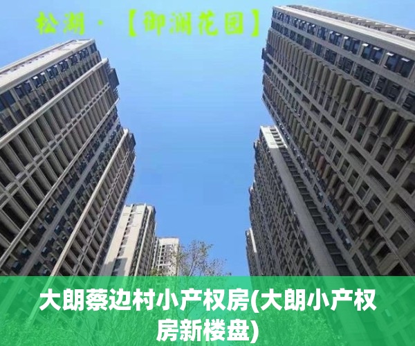大朗蔡边村小产权房(大朗小产权房新楼盘)