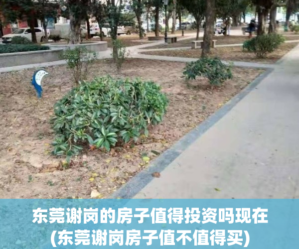 东莞谢岗的房子值得投资吗现在(东莞谢岗房子值不值得买)
