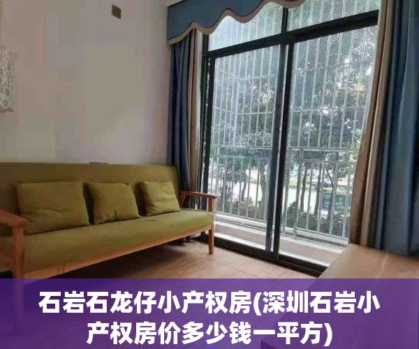 石岩石龙仔小产权房(深圳石岩小产权房价多少钱一平方)