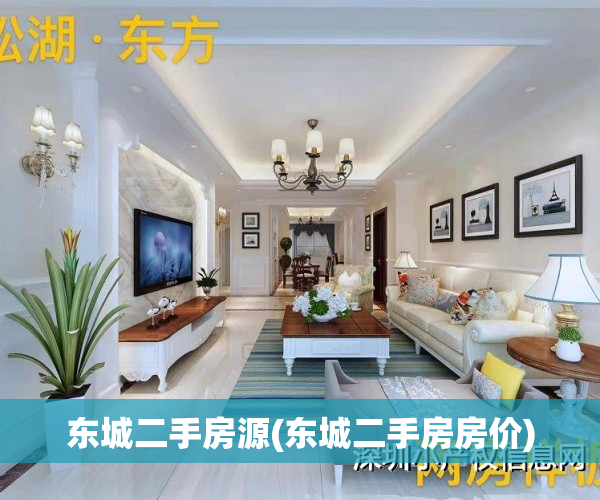 东城二手房源(东城二手房房价)