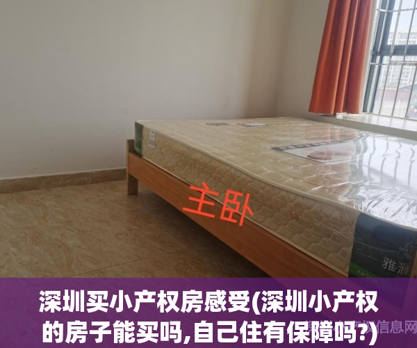 深圳买小产权房感受(深圳小产权的房子能买吗,自己住有保障吗?)