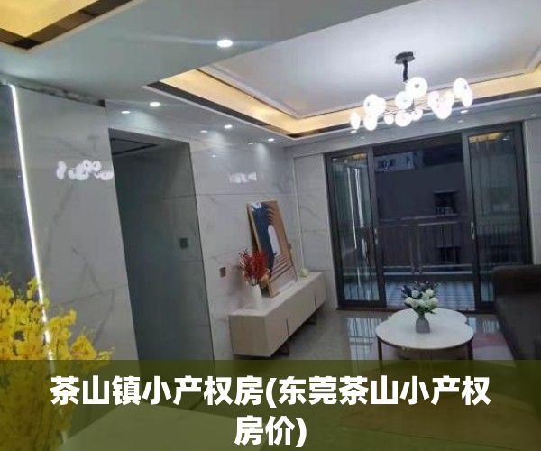 茶山镇小产权房(东莞茶山小产权房价)