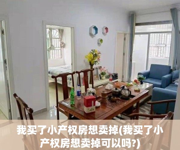 我买了小产权房想卖掉(我买了小产权房想卖掉可以吗?)