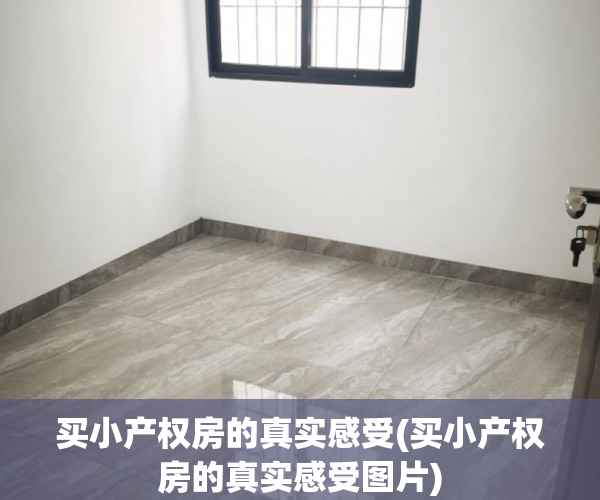 买小产权房的真实感受(买小产权房的真实感受图片)