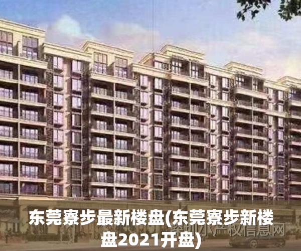 东莞寮步最新楼盘(东莞寮步新楼盘2021开盘)