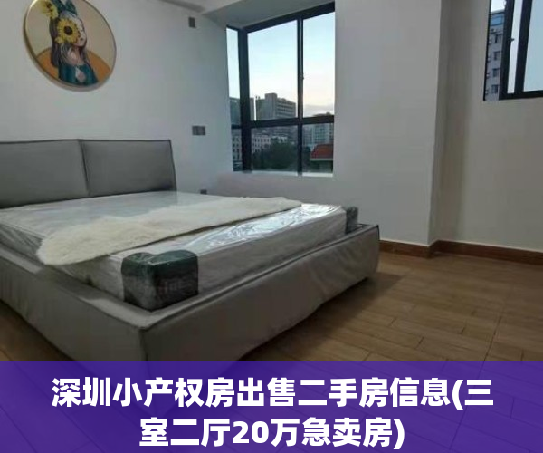 深圳小产权房出售二手房信息(三室二厅20万急卖房)