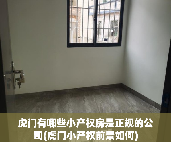 虎门有哪些小产权房是正规的公司(虎门小产权前景如何)