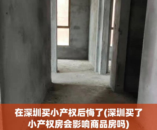 在深圳买小产权后悔了(深圳买了小产权房会影响商品房吗)