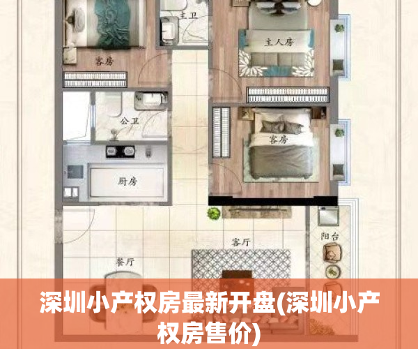 深圳小产权房最新开盘(深圳小产权房售价)