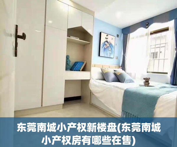 东莞南城小产权新楼盘(东莞南城小产权房有哪些在售)