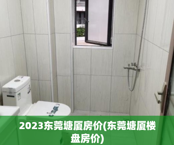 2023东莞塘厦房价(东莞塘厦楼盘房价)