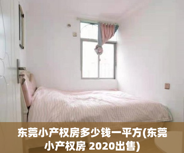 东莞小产权房多少钱一平方(东莞小产权房 2020出售)