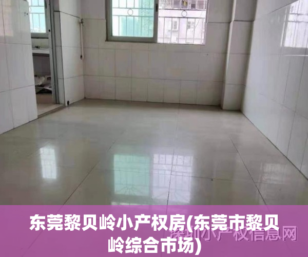 东莞黎贝岭小产权房(东莞市黎贝岭综合市场)