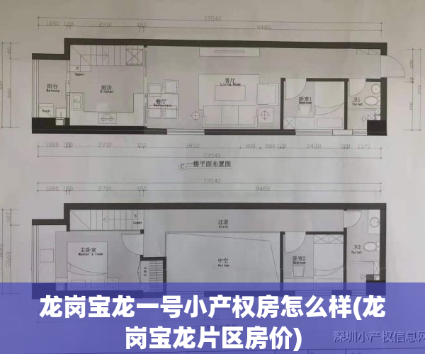 龙岗宝龙一号小产权房怎么样(龙岗宝龙片区房价)