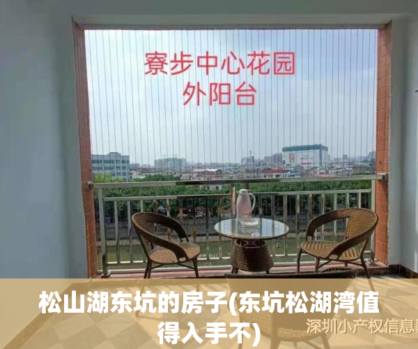 松山湖东坑的房子(东坑松湖湾值得入手不)