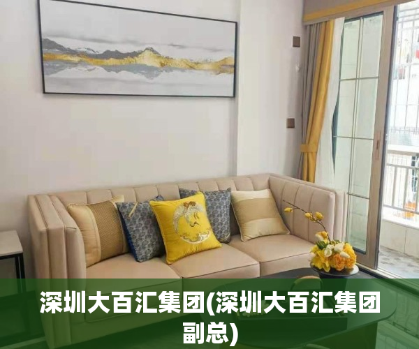 深圳大百汇集团(深圳大百汇集团副总)