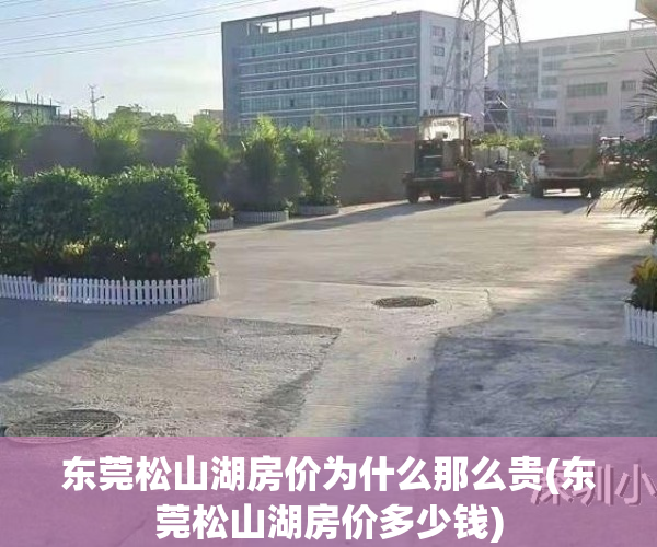 东莞松山湖房价为什么那么贵(东莞松山湖房价多少钱)