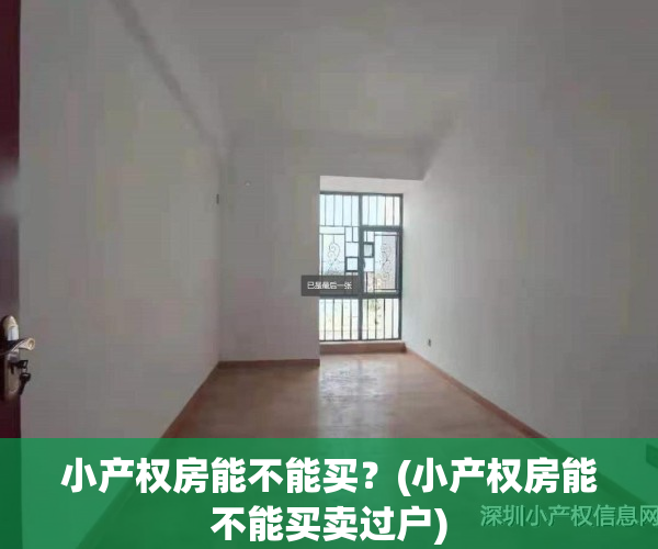 小产权房能不能买?(小产权房能不能买卖过户)