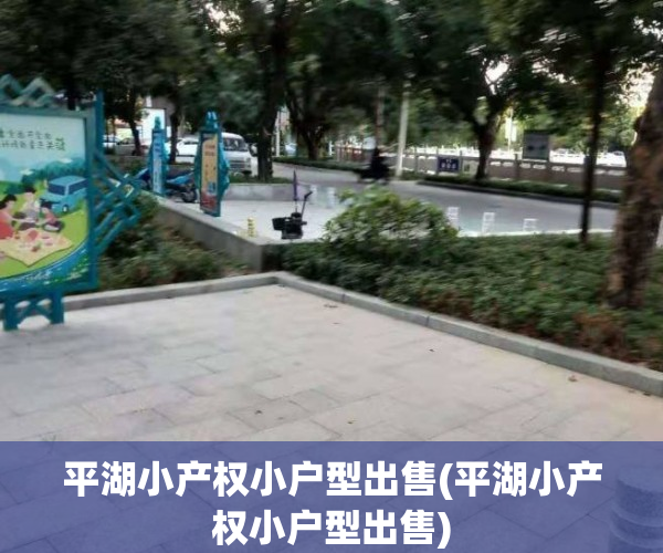 平湖小产权小户型出售(平湖小产权小户型出售)