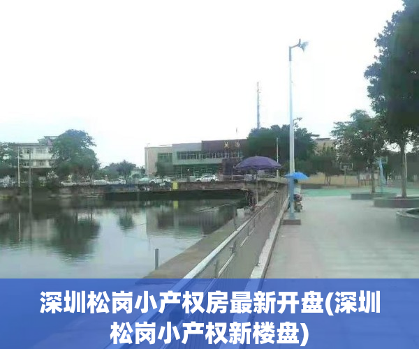 深圳松岗小产权房最新开盘(深圳松岗小产权新楼盘)