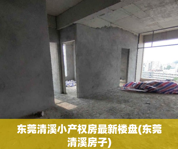东莞清溪小产权房最新楼盘(东莞清溪房子)