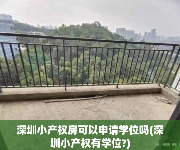 深圳小产权房可以申请学位吗(深圳小产权有学位?)