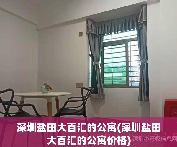 深圳盐田大百汇的公寓(深圳盐田大百汇的公寓价格)