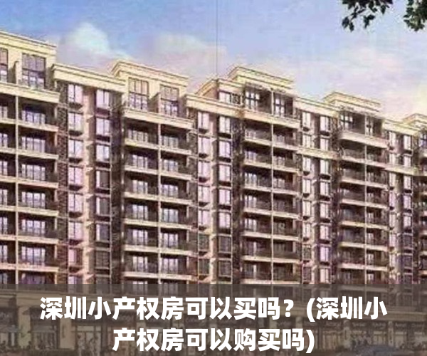 深圳小产权房可以买吗?(深圳小产权房可以购买吗)