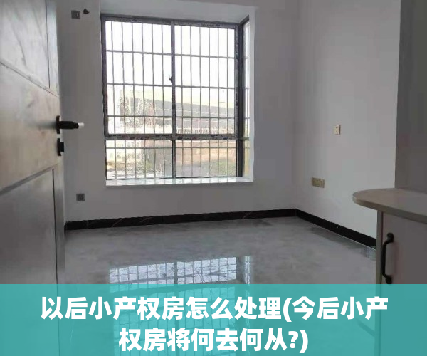 以后小产权房怎么处理(今后小产权房将何去何从?)