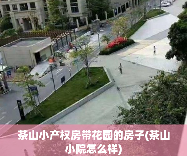 茶山小产权房带花园的房子(茶山小院怎么样)