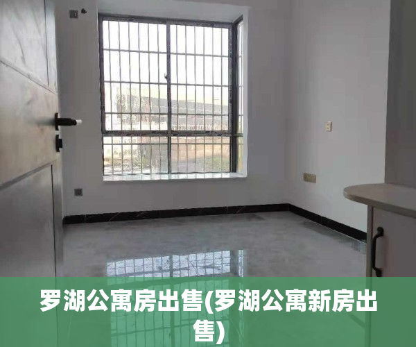罗湖公寓房出售(罗湖公寓新房出售)