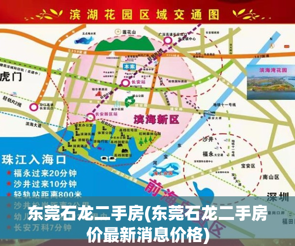 东莞石龙二手房(东莞石龙二手房价最新消息价格)