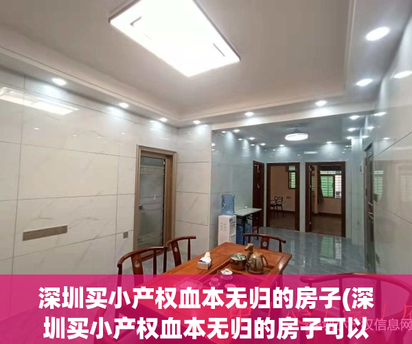 深圳买小产权血本无归的房子(深圳买小产权血本无归的房子可以卖吗)
