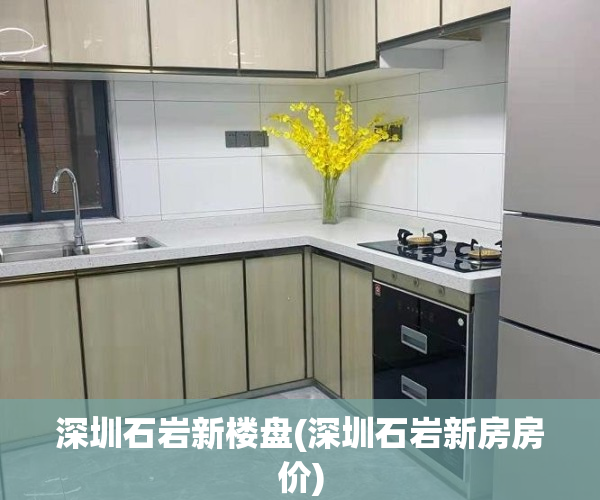 深圳石岩新楼盘(深圳石岩新房房价)