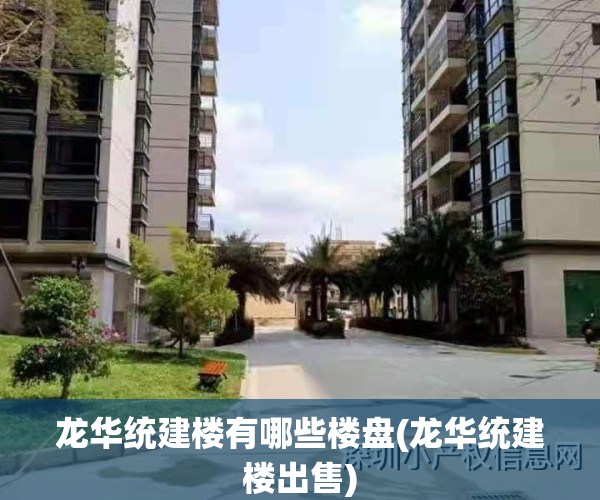 龙华统建楼有哪些楼盘(龙华统建楼出售)