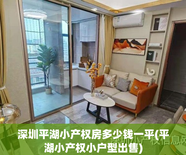 深圳平湖小产权房多少钱一平(平湖小产权小户型出售)