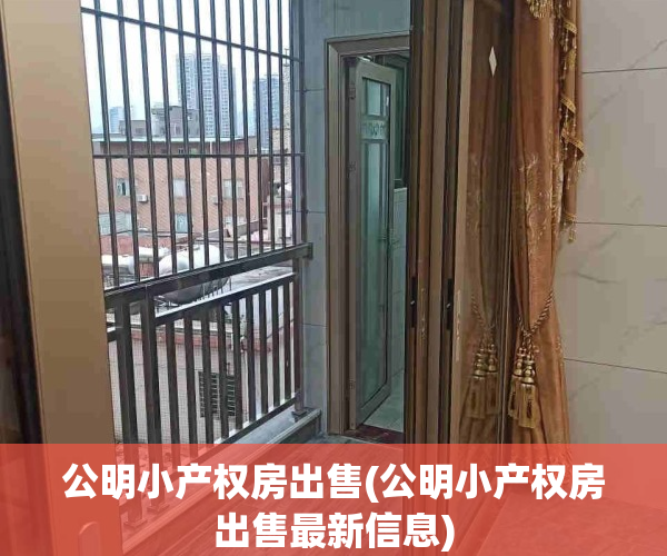 公明小产权房出售(公明小产权房出售最新信息)