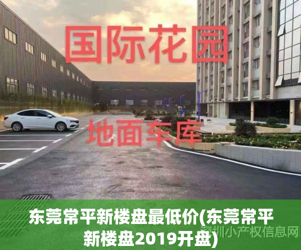 东莞常平新楼盘最低价(东莞常平新楼盘2019开盘)