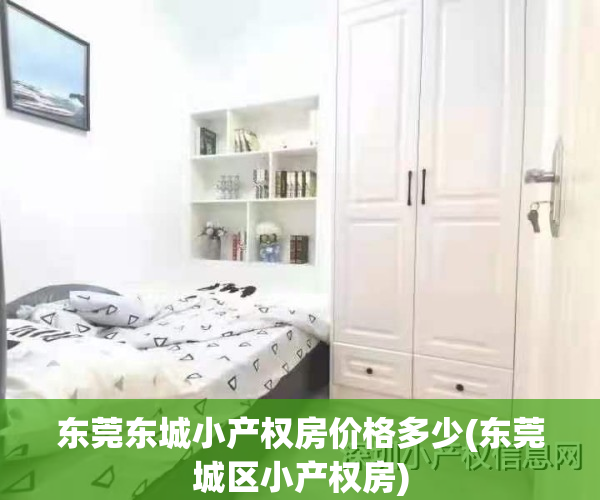 东莞东城小产权房价格多少(东莞城区小产权房)