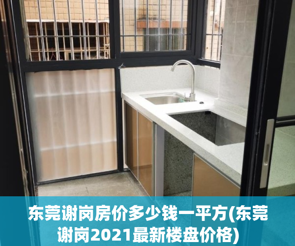 东莞谢岗房价多少钱一平方(东莞谢岗2021最新楼盘价格)