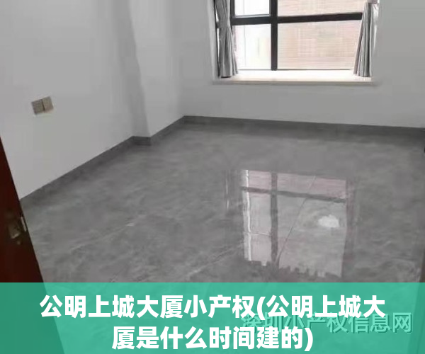 公明上城大厦小产权(公明上城大厦是什么时间建的)