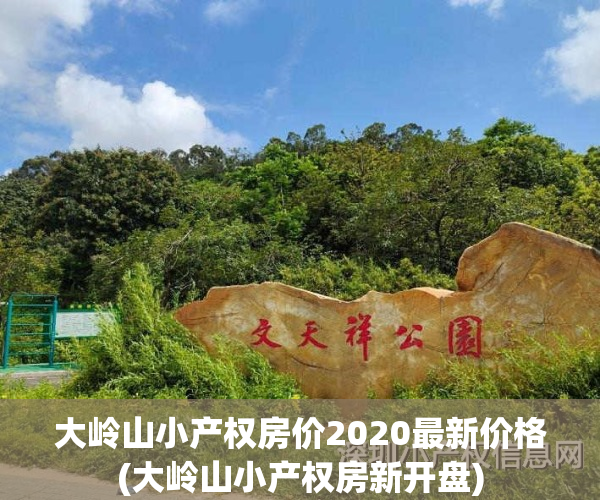 大岭山小产权房价2020最新价格(大岭山小产权房新开盘)