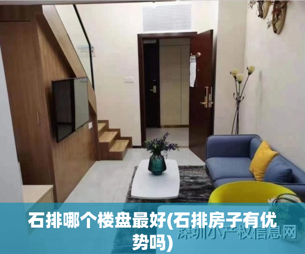 石排哪个楼盘最好(石排房子有优势吗)